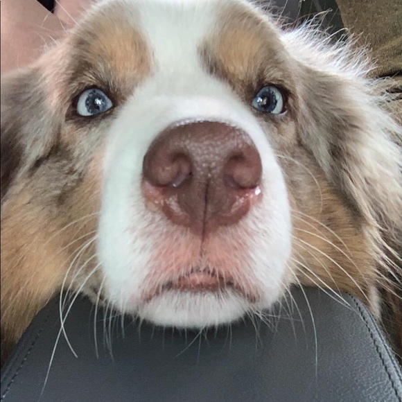 Meet your Posher, Jennifer - Picture 1 of 1